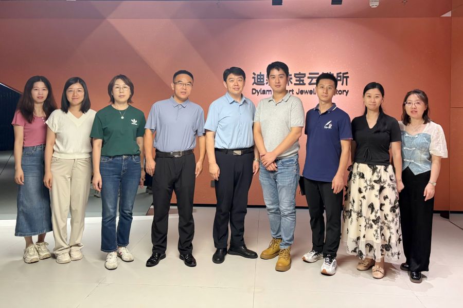 广东迪霖珠宝(集团)有限公司 (1).jpg